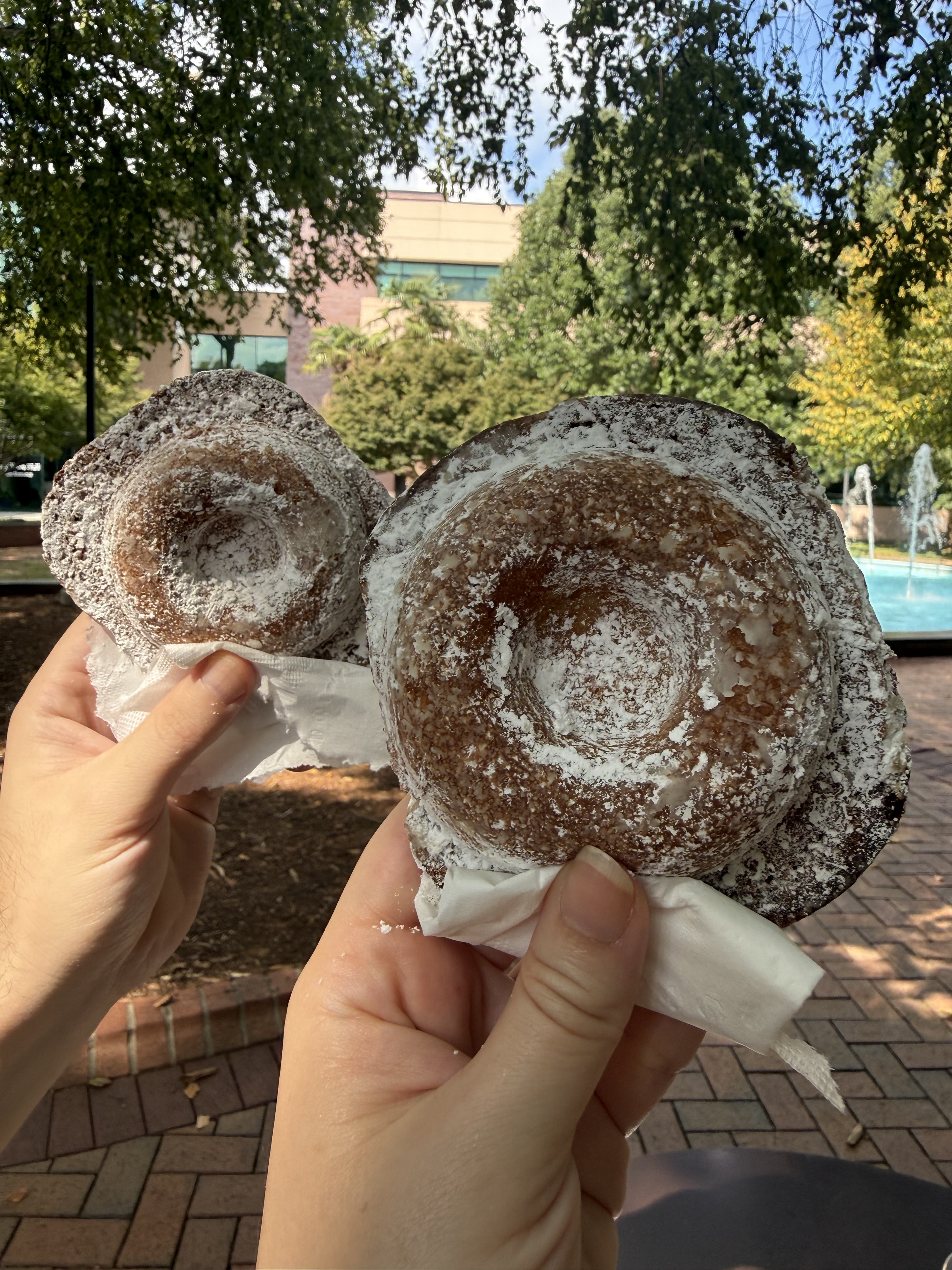 two vanilla b’donuts held up by anti-baked donut advocate, Maria and companion Dan, in the Page Walker Arts Center garden